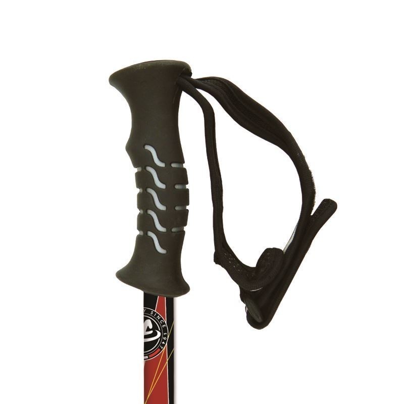 Batons Marche Randonnee Explorer Pro