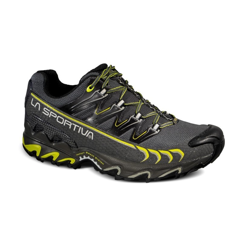 Chaussure Trail Homme Ultra raptor GTX - Grey Green