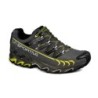 Chaussure Trail Homme Ultra raptor GTX - Grey Green